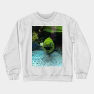 Crazy Fish Crewneck Sweatshirt